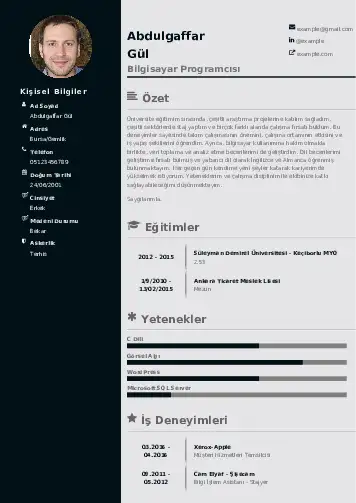 Bilgisayar Programcısı CV Örnekleri cv indir